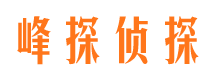 扶风侦探